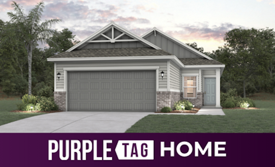 Purple Tag Home Lot 147 at Camden Woods