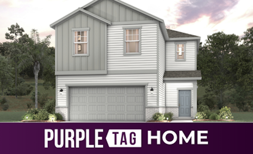 Purple Tag Home Lot 22 at Camden Woods
