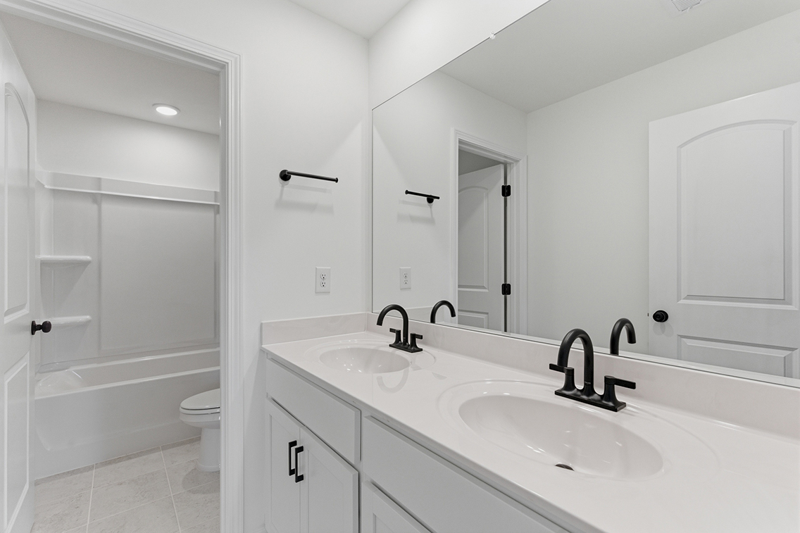 A bathroom with a sink and a toilet.