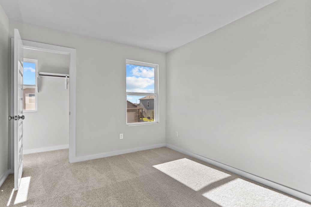 A room with a window and a rug.