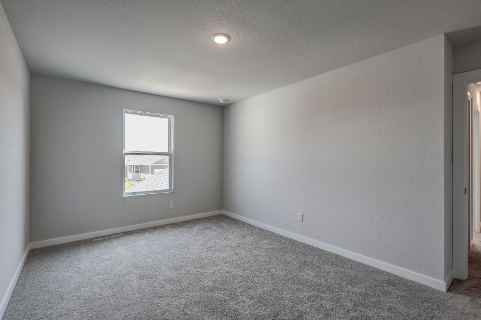 A room with a carpet and windows.